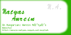 matyas amrein business card